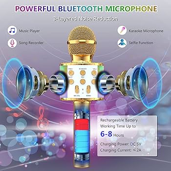 Wireless Mic for kids