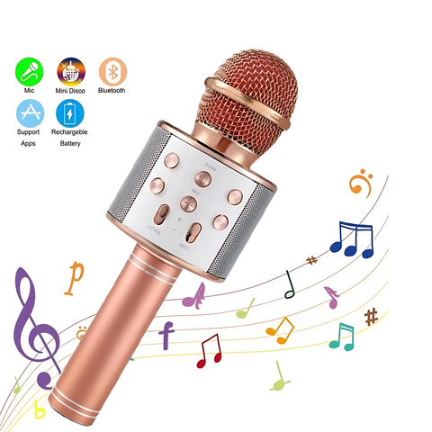 Wireless Mic for kids
